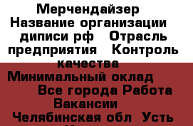 Мерчендайзер › Название организации ­ диписи.рф › Отрасль предприятия ­ Контроль качества › Минимальный оклад ­ 20 000 - Все города Работа » Вакансии   . Челябинская обл.,Усть-Катав г.